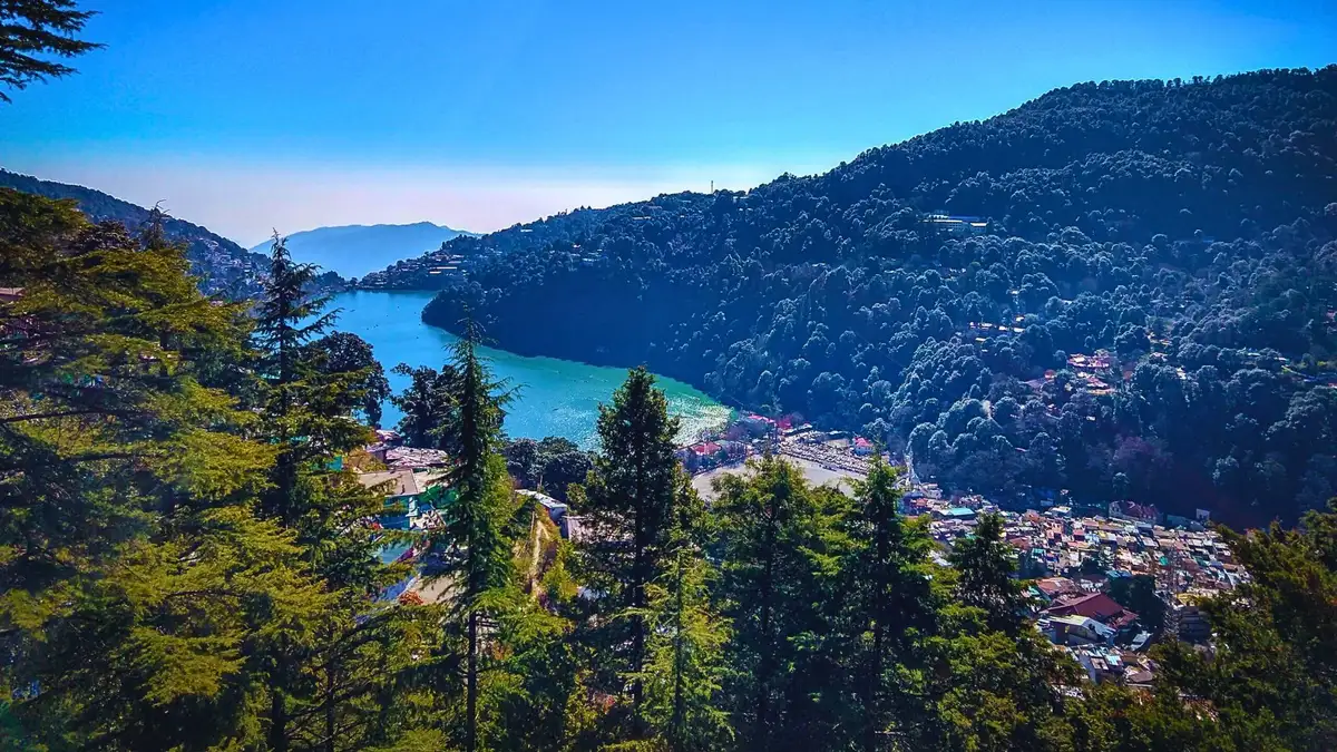 nanital package 
